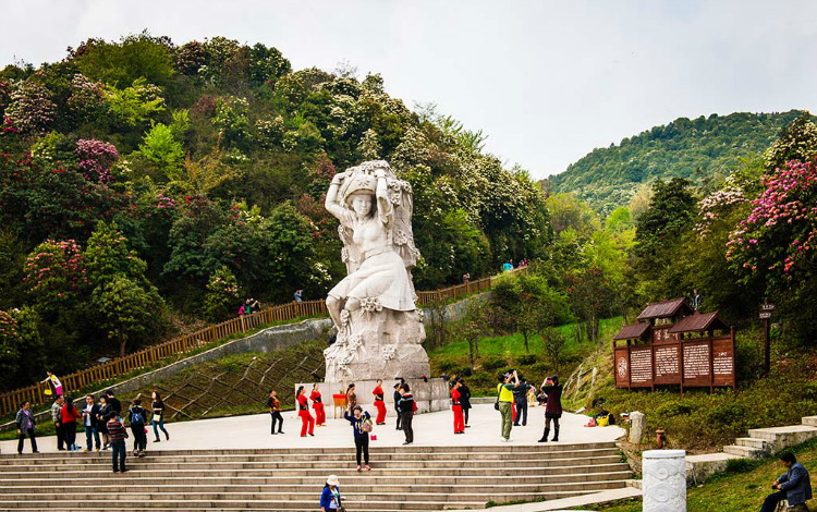 百里杜鹃金坡景区