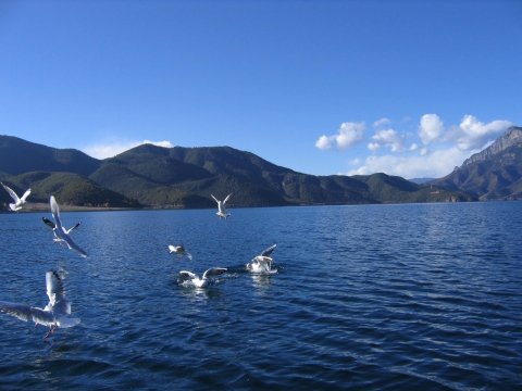 丽江泸沽湖双飞五日游