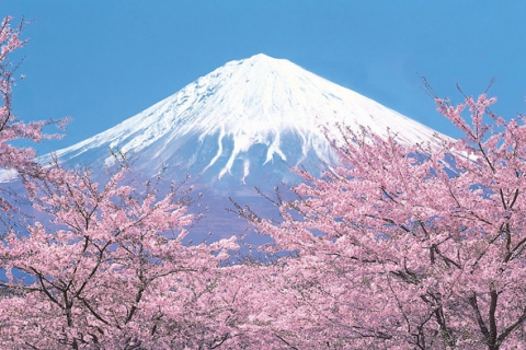 日本一.四.七假期紅五星四季椿山莊酒店豪華之旅六日(全程無自費)全日空